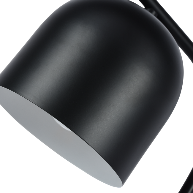 Настольная лампа Zortes DeskLight ZRS.1066.01 Настольная лампа Zortes DeskLight ZRS.1066.01