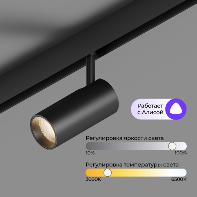 Трековый магнитный светильник Hesby Lighting ElDeko HSBL_0238 Трековый магнитный светильник Hesby Lighting ElDeko HSBL_0238