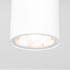 Уличный потолочный светильник Elektrostandard Light LED 4690389176555 Уличный потолочный светильник Elektrostandard Light LED 4690389176555