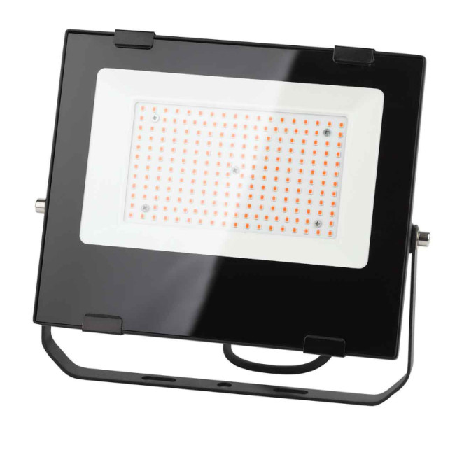 Фитопрожектор для растений ЭРА FITO-100W-RB-LED Б0046369 Фитопрожектор для растений ЭРА FITO-100W-RB-LED Б0046369