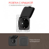 Розетка с заземлением, шторками и защитной крышкой Arte Milano 205.41-1.black