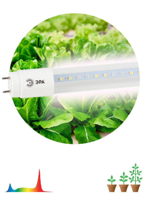 Фитолампа для растений светодиодная Эра G13 18W 1200K FITO-18W-Ra90-Т8-G13-NL Б0042987 Фитолампа для растений светодиодная Эра G13 18W 1200K FITO-18W-Ra90-Т8-G13-NL Б0042987