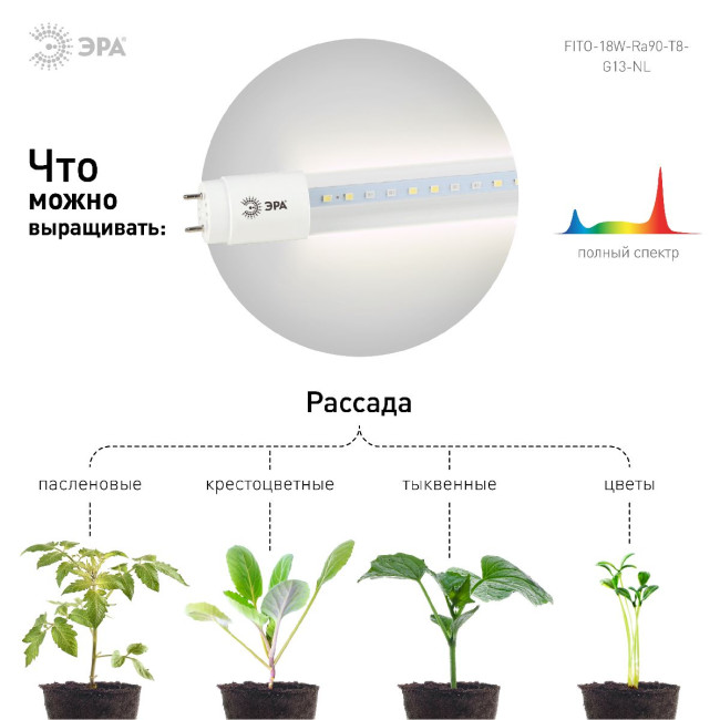 Фитолампа для растений светодиодная Эра G13 18W 1200K FITO-18W-Ra90-Т8-G13-NL Б0042987 Фитолампа для растений светодиодная Эра G13 18W 1200K FITO-18W-Ra90-Т8-G13-NL Б0042987