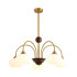 Люстра на штанге Lumion Moderni Larina 8323/5C