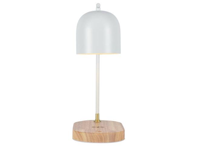 Настольная лампа Zortes DeskLight ZRS.1066.02 Настольная лампа Zortes DeskLight ZRS.1066.02