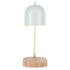 Настольная лампа Zortes DeskLight ZRS.1066.02 Настольная лампа Zortes DeskLight ZRS.1066.02