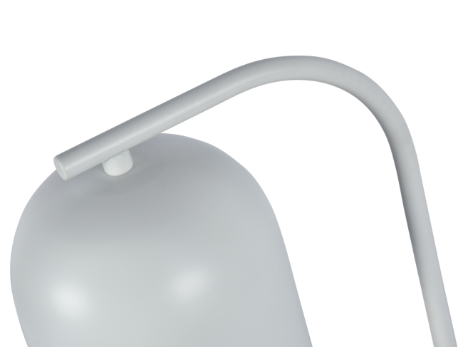 Настольная лампа Zortes DeskLight ZRS.1066.02 Настольная лампа Zortes DeskLight ZRS.1066.02