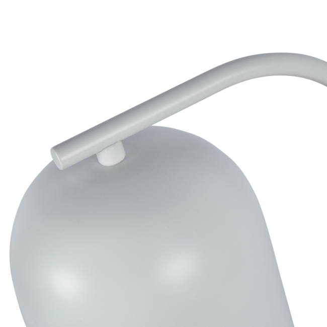 Настольная лампа Zortes DeskLight ZRS.1066.02 Настольная лампа Zortes DeskLight ZRS.1066.02
