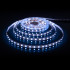 Светодиодная лента Elektrostandard 24V 24W 60Led 5050 IP20 MIX RGB/холодный белый, 5м 4690389172311 Светодиодная лента Elektrostandard 24V 24W 60Led 5050 IP20 MIX RGB/холодный белый, 5м 4690389172311