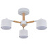 Потолочный светильник Escada Lyse ES0000022L Потолочный светильник Escada Lyse ES0000022L