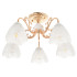 Потолочная люстра MyFar Nicole MR1661-5C Потолочная люстра MyFar Nicole MR1661-5C