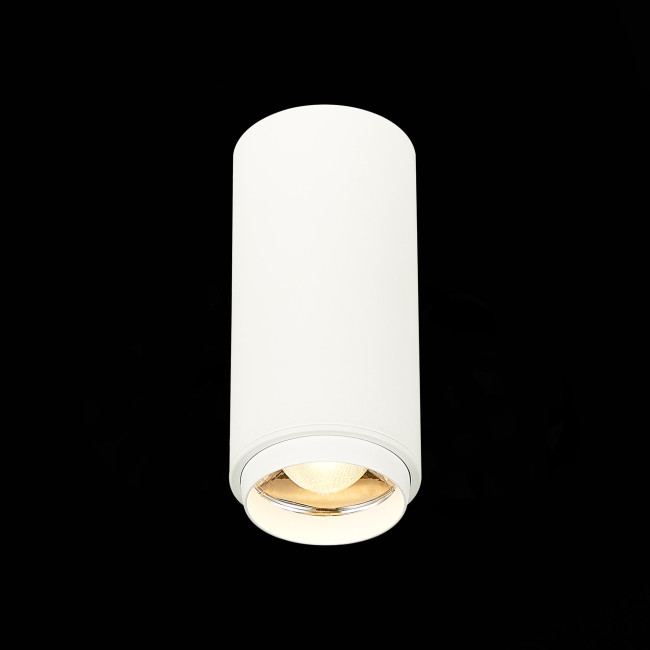 Потолочный светильник ST Luce Zoom ST600.532.10 Потолочный светильник ST Luce Zoom ST600.532.10