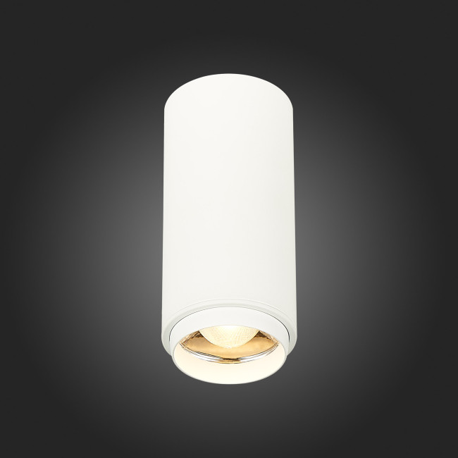 Потолочный светильник ST Luce Zoom ST600.532.10 Потолочный светильник ST Luce Zoom ST600.532.10