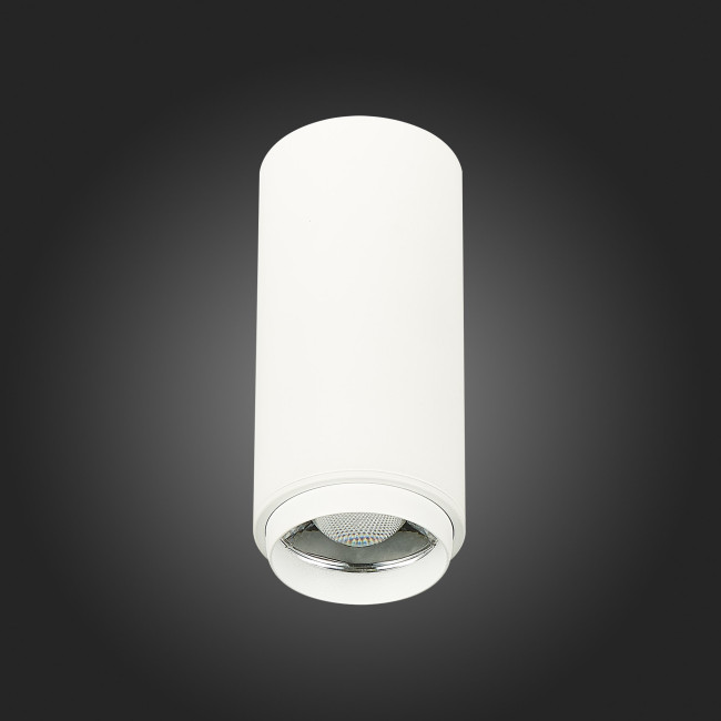 Потолочный светильник ST Luce Zoom ST600.532.10 Потолочный светильник ST Luce Zoom ST600.532.10