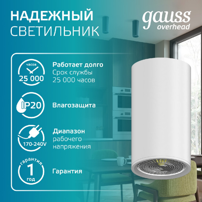 Накладной светильник Gauss Basic HD060 Накладной светильник Gauss Basic HD060