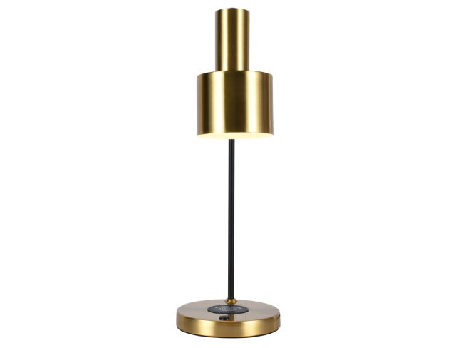 Настольная лампа Zortes DeskLight ZRS.1066.03 Настольная лампа Zortes DeskLight ZRS.1066.03