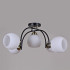 Люстра на штанге Illumico IL0250-5CSQ-79 BK AB
