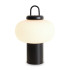 Настольная лампа Freya Take FR6175TL-L10B Настольная лампа Freya Take FR6175TL-L10B
