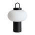 Настольная лампа Freya Take FR6175TL-L10B Настольная лампа Freya Take FR6175TL-L10B