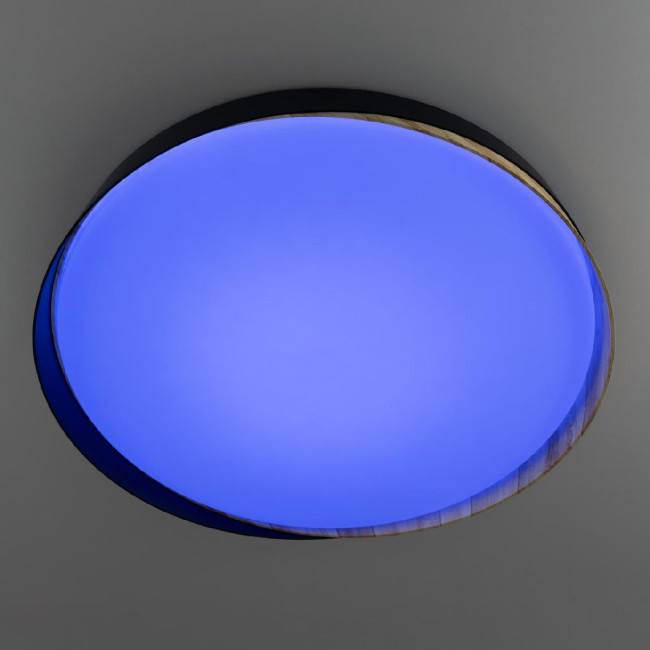 Потолочный светильник Citilux Bonny CL754451G