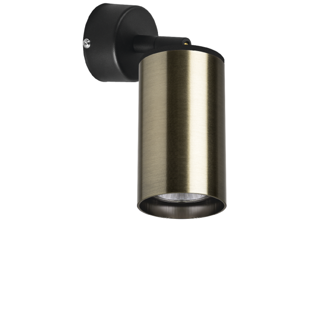 Встраиваемый спот Lightstar Rullo RB431 (214431+590007) Встраиваемый спот Lightstar Rullo RB431 (214431+590007)