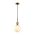 Подвесной светильник Odeon Light Midcent Lolla 6625/1A