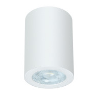 Накладной светильники Arte Lamp Tino A1468PL-1WH