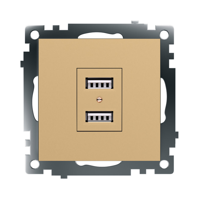 Розетка 2-местная USB Stekker Катрин GLS10-7115-08 49229 Розетка 2-местная USB Stekker Катрин GLS10-7115-08 49229