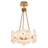 Подвесная люстра Cloyd Knoss 10918 Подвесная люстра Cloyd Knoss 10918