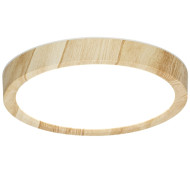 Потолочный светильник Citilux Бейсик CL738122N