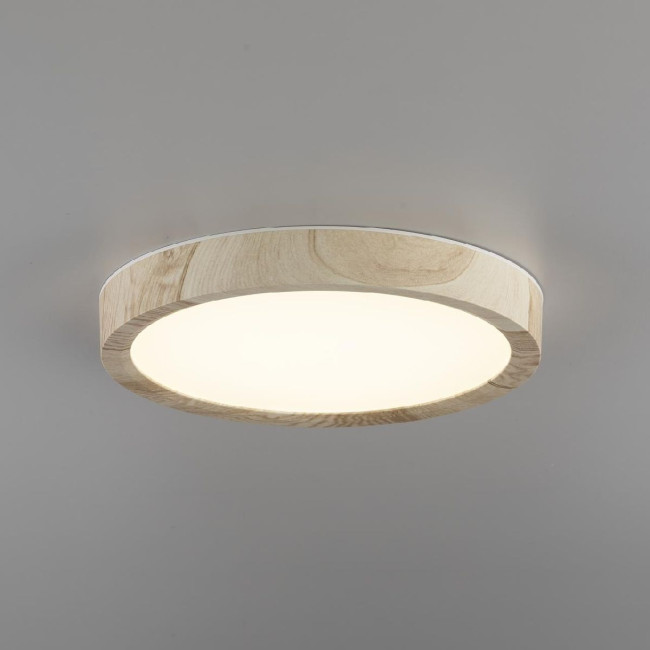 Потолочный светильник Citilux Бейсик CL738122N Потолочный светильник Citilux Бейсик CL738122N