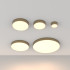 Потолочный светильник Maytoni Technical Ceiling&Wall Zon C032CL-12W3K-RD-MG Потолочный светильник Maytoni Technical Ceiling&Wall Zon C032CL-12W3K-RD-MG