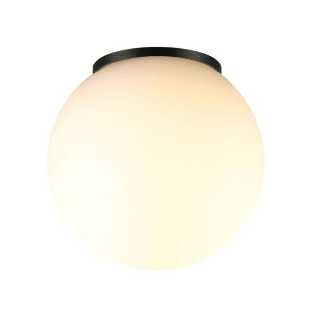 Уличный потолочный светильник Odeon Light Nature Viva 7124/1C Уличный потолочный светильник Odeon Light Nature Viva 7124/1C