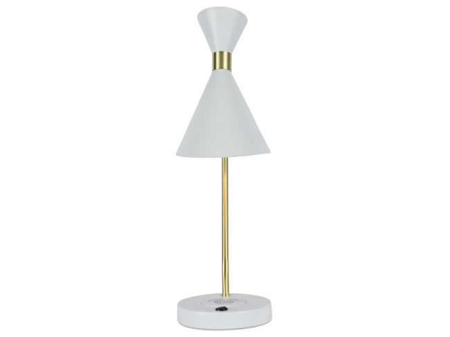 Настольная лампа Zortes DeskLight ZRS.1066.05 Настольная лампа Zortes DeskLight ZRS.1066.05