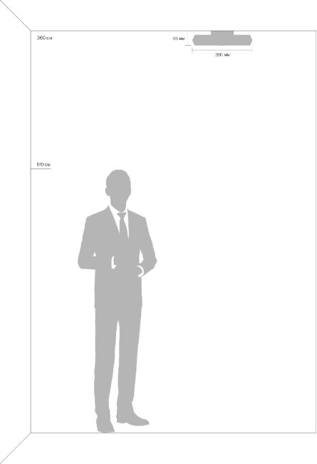 Потолочный светильник Freya Cells FR10012CL-L24W