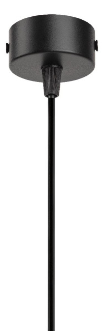 Подвесной светильник Эра PL20 BK Б0058500