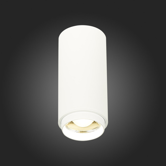 Потолочный светильник ST Luce Zoom ST600.542.10 Потолочный светильник ST Luce Zoom ST600.542.10