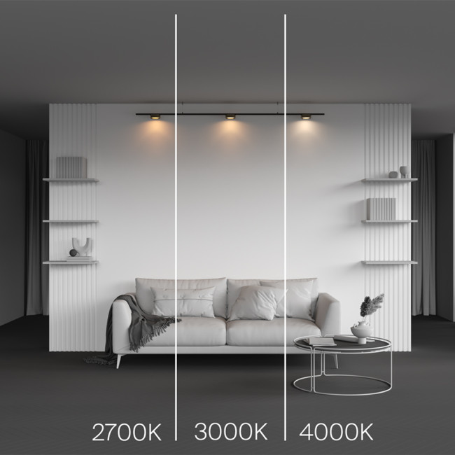 Трековый магнитный светильник Maytoni Zon TR189-1-12W4K-BBS Трековый магнитный светильник Maytoni Zon TR189-1-12W4K-BBS