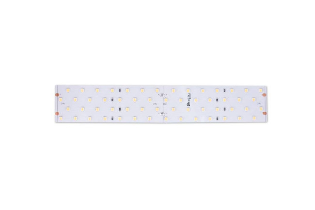 Светодиодная лента DesignLed DSG2280-24-NW-33 000531 Светодиодная лента DesignLed DSG2280-24-NW-33 000531