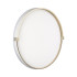 Настенно-потолочный светильник Sonex Pale Olidi White 7646/DLN Настенно-потолочный светильник Sonex Pale Olidi White 7646/DLN