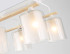 Потолочная люстра Ambrella Light Loft Traditional TR3033247 Потолочная люстра Ambrella Light Loft Traditional TR3033247