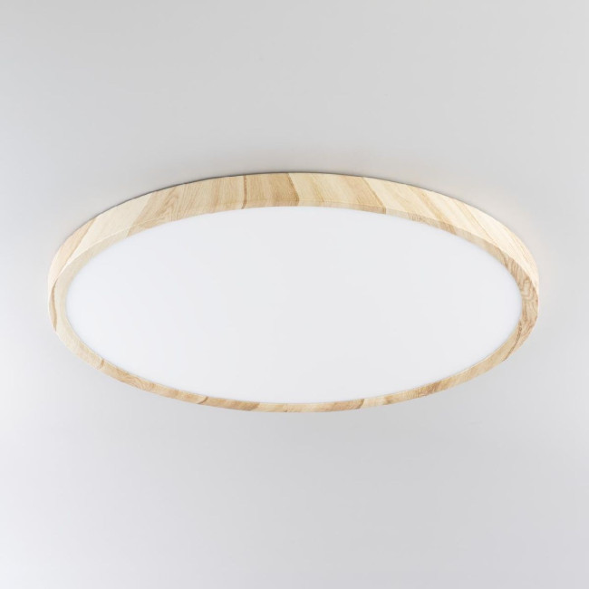 Потолочный светильник Citilux Бейсик CL738322V Потолочный светильник Citilux Бейсик CL738322V