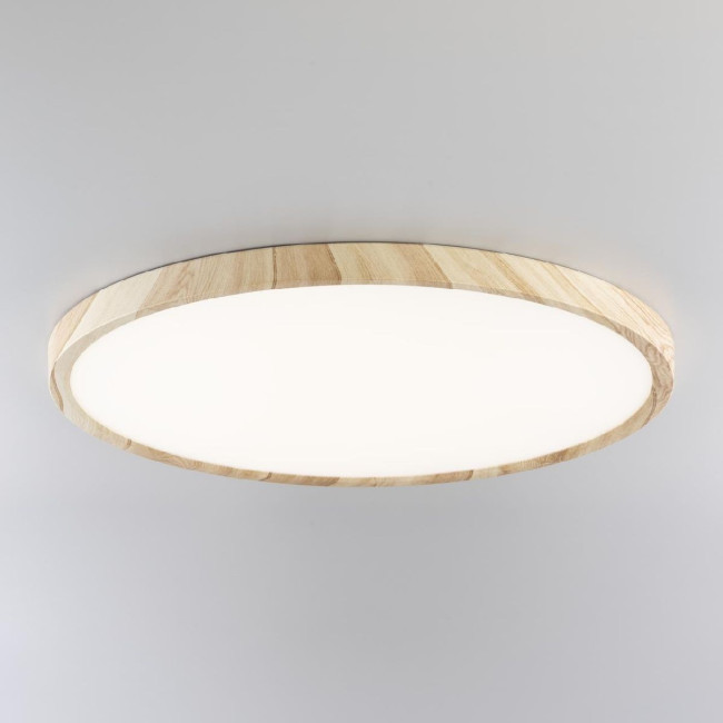 Потолочный светильник Citilux Бейсик CL738322V Потолочный светильник Citilux Бейсик CL738322V