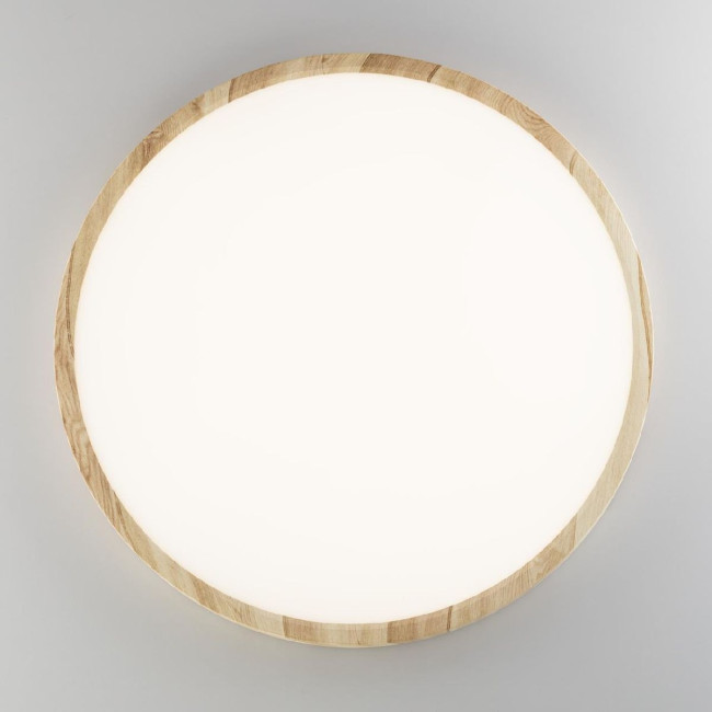 Потолочный светильник Citilux Бейсик CL738322V Потолочный светильник Citilux Бейсик CL738322V