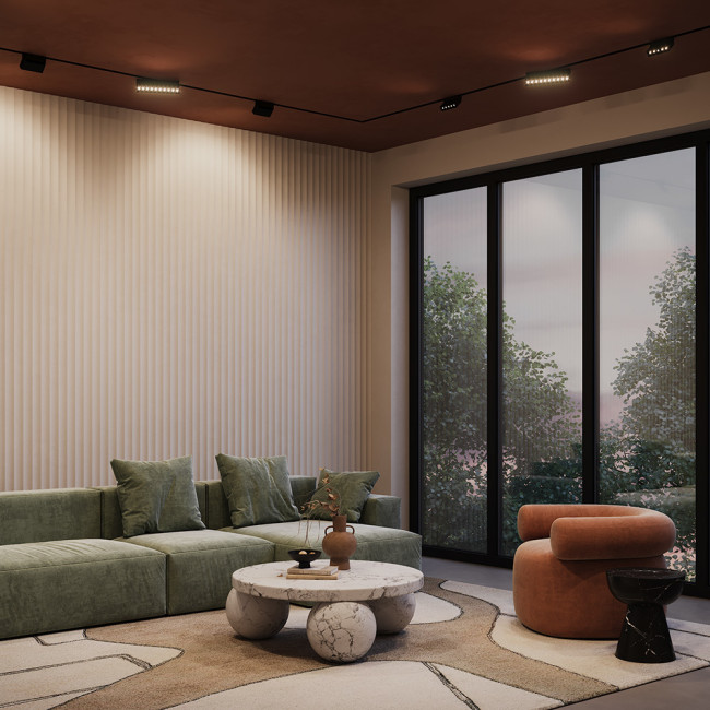 Трековый светильник Maytoni Technical Points Rot TR077-2-10W4K-B Трековый светильник Maytoni Technical Points Rot TR077-2-10W4K-B