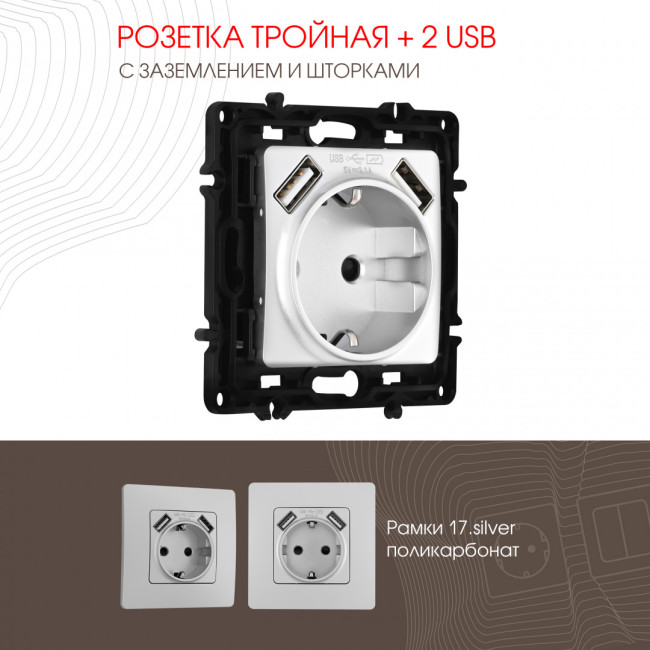 Розетка с заземлением, шторками + 2 USB Arte Milano 217.47-1.silver Розетка с заземлением, шторками + 2 USB Arte Milano 217.47-1.silver