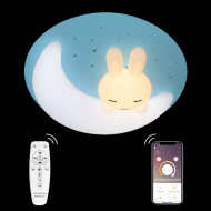 Потолочная люстра Natali Kovaltseva LED LAMPS 81087 Потолочная люстра Natali Kovaltseva LED LAMPS 81087