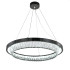 Подвесная люстра Indigo Riva 12045/1P Black V000103L Подвесная люстра Indigo Riva 12045/1P Black V000103L