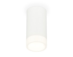 Потолочный светильник Ambrella Light Techno Spot XS8161002 (C8161, N8401)