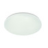 Потолочный светильник Escada 10213/SG LED Потолочный светильник Escada 10213/SG LED
